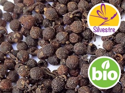 Aceite esencial de Bayas de Sil Timur - Silvestre