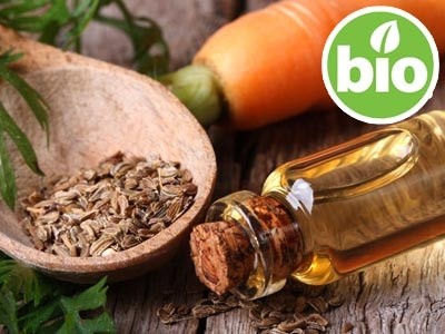 Aceite Esencial de Zanahoria BIO - Qt. β Bisaboleno