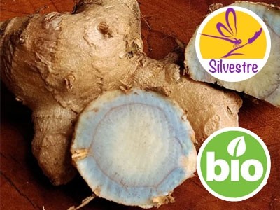 Aceite esencial de Zedoaria - Silvestre