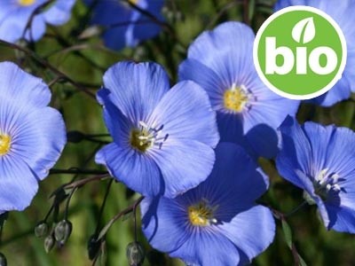 Aceite de Semilla de Lino Virgen BIO