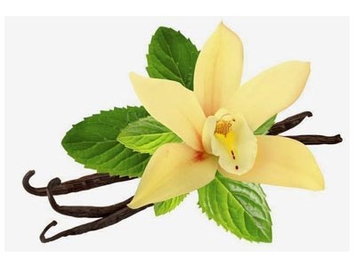 Aroma de Vainilla Especiado