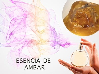 Fragancia de Ámbar