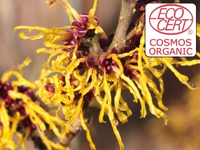 Extracto líquido de Hamamelis Ecocert