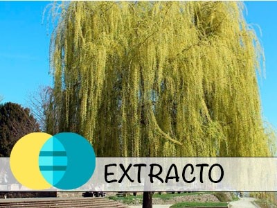 Extracto líquido de Sauce BIO - Hidroglicerinado