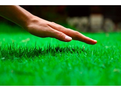 Fragancia de cesped recien cortado