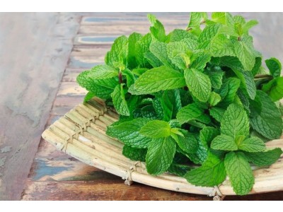 Fragancia de Hierbabuena