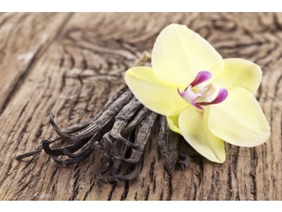 Fragancia de Vainilla