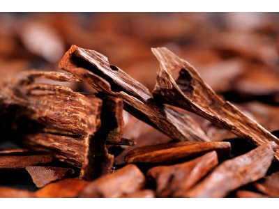 Fragancia de Sándalo