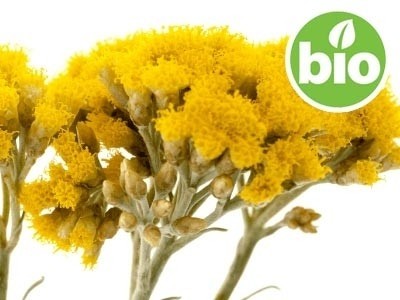 Hidrolato de Siempreviva Amarilla BIO - Microfiltrado