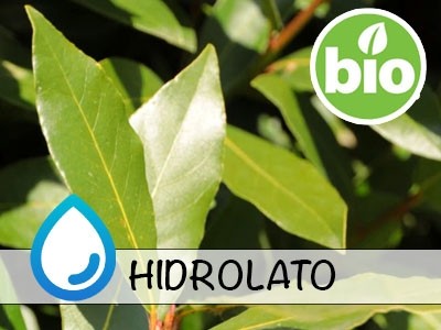 Hidrolato de Laurel BIO - Microfiltrado
