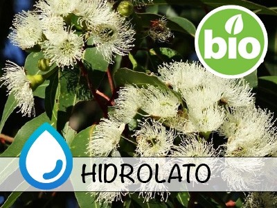 Hidrolato de Eucalipto BIO