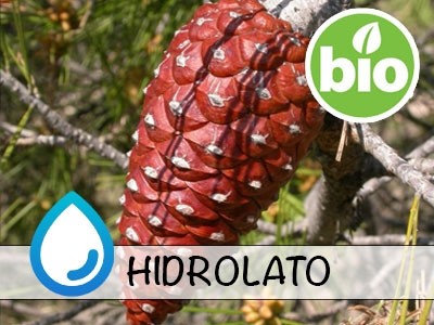 Hidrolato de Pino de Alepo BIO