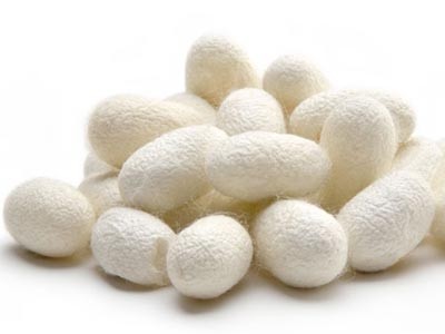 Hidrolizado de Proteina de Seda