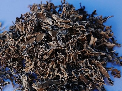 Liquen de Islandia Seco