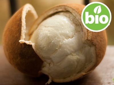 Manteca de Copoaçu (Copoazú) 1ª presión BIO