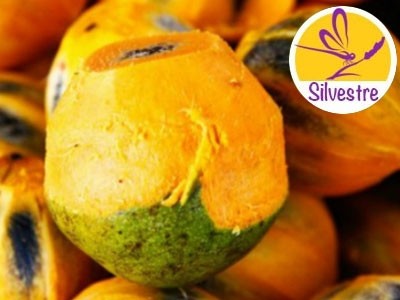 Manteca de Tucuma Silvestre - Economía Circular