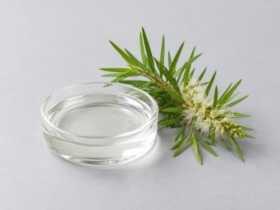 Hidrolato de Árbol del té Silvestre