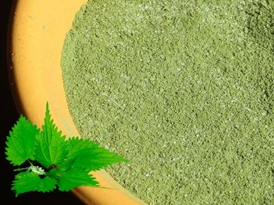 Ortiga Verde en Polvo BIO