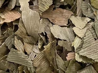 Ginkgo biloba hoja cortada