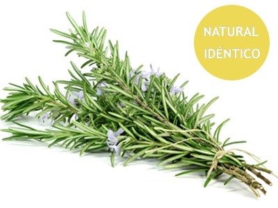 Romero Alcanfor - Natural Idéntico