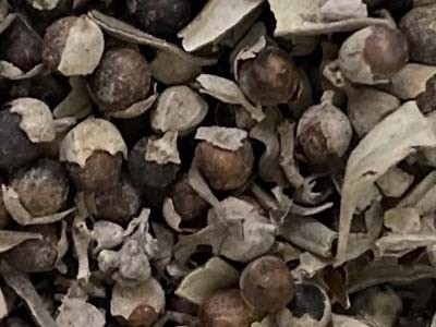 Sauzgatillo - Frutos Silvestres