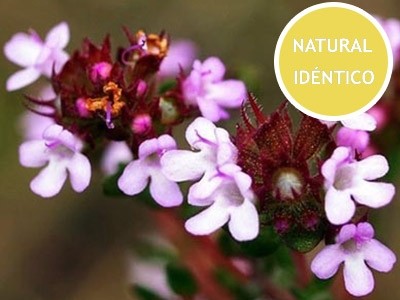 Tomillo Rojo - Natural Idéntico