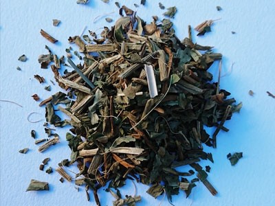 Trebol planta triturada