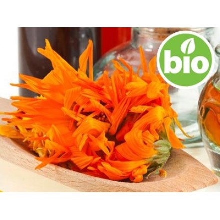 Aceite de Caléndula BIO en Oliva BIO
