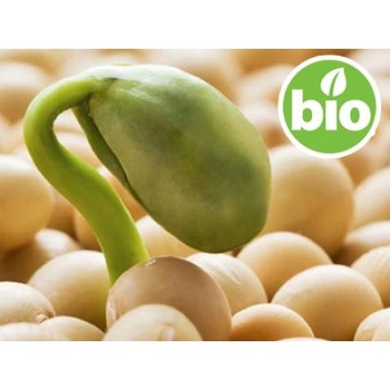 Aceite de Soja Virgen de 1ª presión BIO