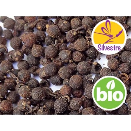 Aceite esencial de Bayas de Sil Timur - Silvestre
