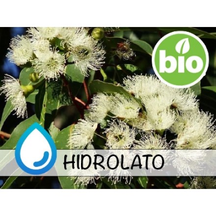 Hidrolato de Eucalipto BIO