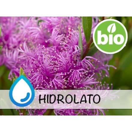 Hidrolato de Mirto miel BIO