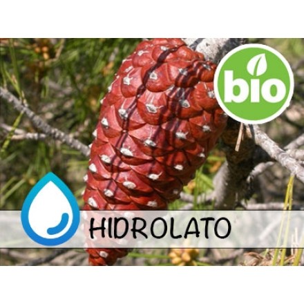 Hidrolato de Pino de Alepo BIO