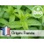 Aceite Esencial de Menta Piperita BIO - Francia