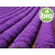 Macerado de flores de Lavanda en Girasol BIO