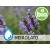 Hidrolato de Espliego BIO