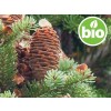 Aceite Esencial de Abeto Balsámico BIO