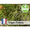 Aceite Esencial de Pino de Alepo Silvestre y BIO