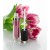 Envase Lip Gloss de 7,5ml y tapa negra.