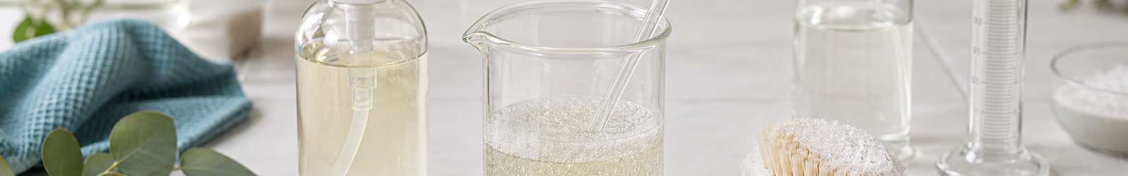 Recetas con Caprylyl Capryl Glucoside